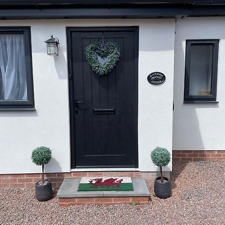 Blackberry Cottage Cardiff Exterior photo